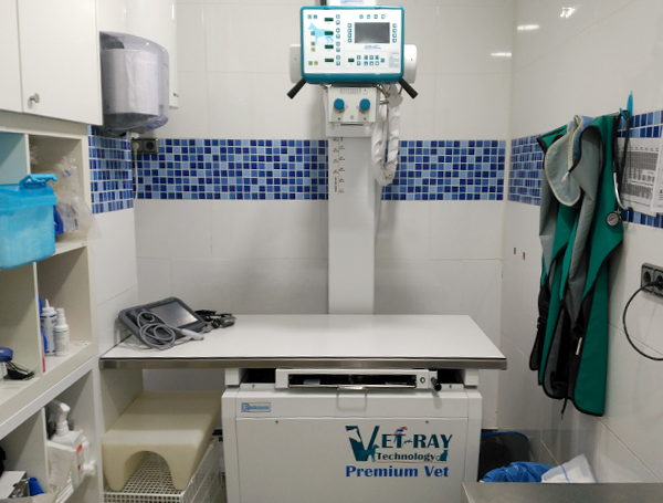Radiogra´fia veterinaria JC1 Veterinarios en Murcia